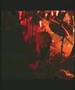 Superjoint Ritual - Waithing for the turning poin live 2004