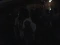 Flame live in killeen, TX