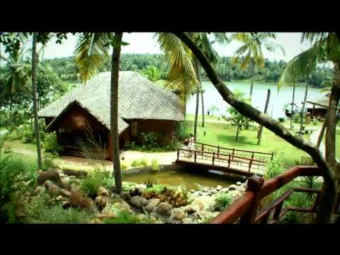 Watch member's video
