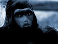 Click here to watch this video I AM BACK WITH ANOTHER PROFOUND 'OTHERWORLDLY' EXPERIENCE & MORE! .