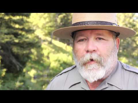 how to plan a trip to yellowstone national park