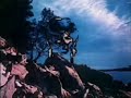 The Church - You Took