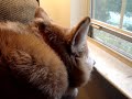 ~Hunter says \"Goodbye\"...