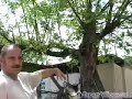 Principles of Beekeeping : Bee Hive Removal Principles of Beekeeping : Bee Hive Removal