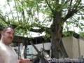 Principles of Beekeeping : Bee Hive Removal
