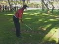 tiger woods and the mushroom tiger woods and the mushroom
