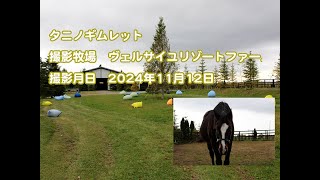 功労馬 | タニノギムレット 功労馬 | タニノギムレット