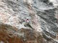 BERNARTWOOD e Adam Ondra