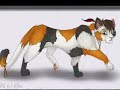 Warriors Contest
