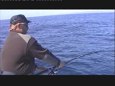 Atun al jigging en castelldefels II. EXTREM JIGGING. Cenkiu very mach