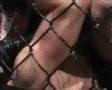 FIGHTERGALLA III - Gladius MMA