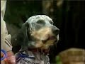 Old Oxyfresh Infomercial: Part 3