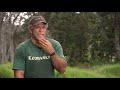 Koa Reforestation ? Huaka\ Koa Reforestation ? Huaka\