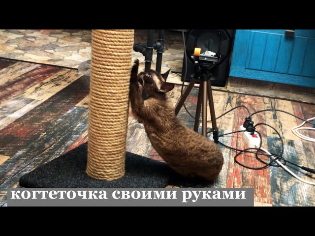 Когтеточка своими руками. Когтеточка для кошек как сделать своими руками как сделать когтеточку дома