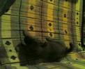 videos de eMeCe's Baloo