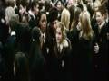 Who's That Girl-Harry Potter/Hermione Granger Shipper Video