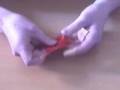 Origami Chopstick Rest