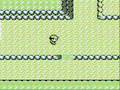 Secret Gary's Item - Pokemon Hack