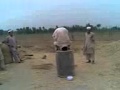 very very funy vedio3gp