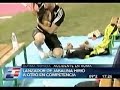 accidente con jabalina