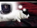 Bad Dream