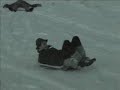 Tourette`s Sledging (contains swearing)