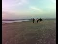 Kontor @ St. Peter-Ording 1