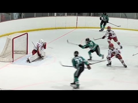 Ethan Williams, Goalie, Peters Twp Varsity AAA vs Pine Richland 12/19/2023. PT win 6-2.