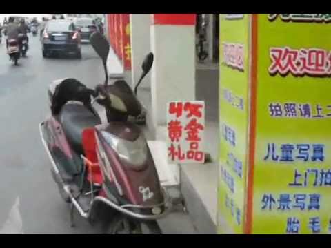 bike sales bike sales