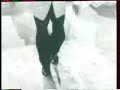 Tap dance Little Buck