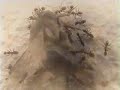 les fourmis et l\