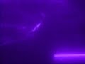 Arowana Eats HUGE goldfish - OWNED Arowana Eats HUGE goldfish - OWNED