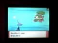 videos de Pokemon D/P GB #21: vs hrizack