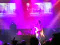 Facto delafe y las flores azules2