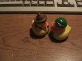 Rubber Ducky 7