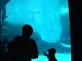 DSCF0333