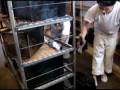 videos de HORNO ESTATICO AUTOMATICO PAN DE MIGA AE-890 - MECANER - 2