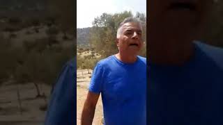 قرية القباعة قضاء صفد في الجليل الأعلى