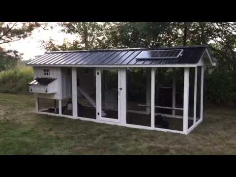 Our bestselling chicken coop