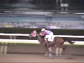 2001年8月11日、大井競馬５～７レースのゴール前。５レースの勝利騎手は的場文男、６レースの勝利騎手は宮浦正行、７レースの勝利騎手は佐藤隆。