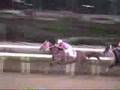 2001年8月11日、大井競馬5~7レースのゴール前