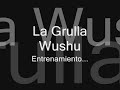 Entrenamiento la Grulla Wushu Chile