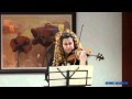 Johann Strauss - Le Beau Danube Bleu [2 De 2]