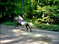 Sam Piste d\ Sam Piste d\