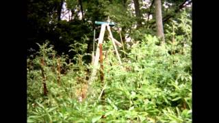 2012 Garden Full Season Time-Lapse