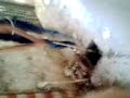 student-mailk2.mp4 student-mailk2.mp4