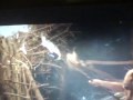 Year One - Funny Part.mp4