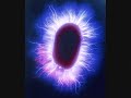 Kirlian Camera - Eclipse