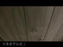 壁好きなツネオ