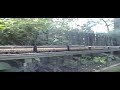 More Elsie Garden Railway Pt.2